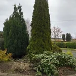 Hawthorn B&B *