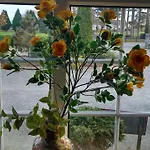 Hawthorn B&B Bed & Breakfast Athy