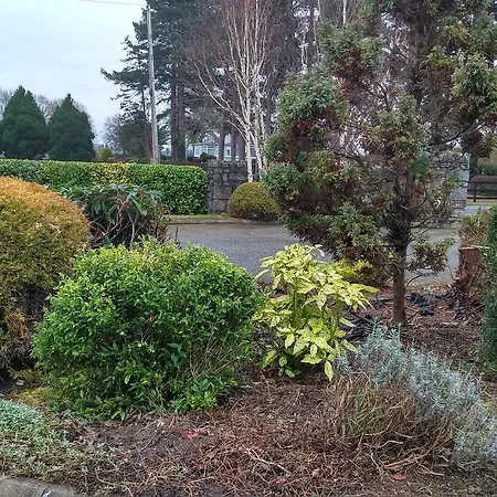Hawthorn B&B Bed & Breakfast *