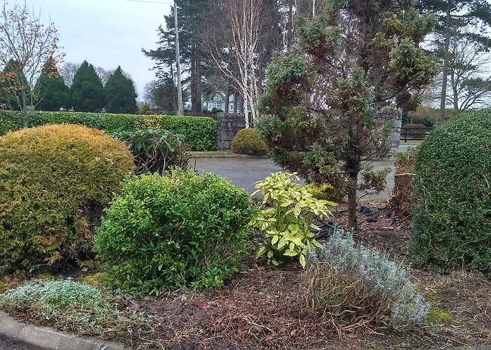 Hawthorn B&B Bed & Breakfast *