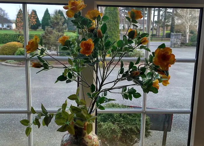 Hawthorn B&B Bed & Breakfast Athy